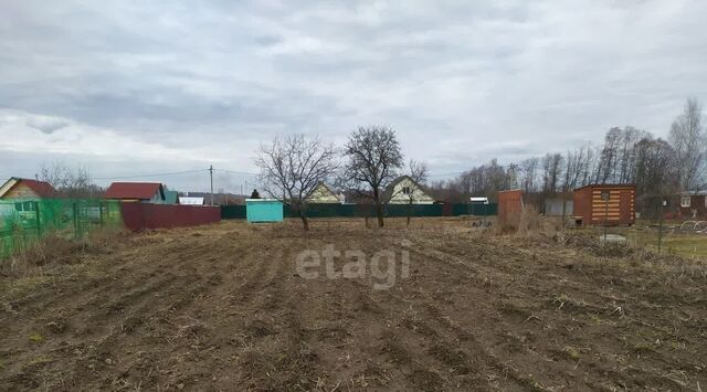 земля снт Ивушка фото