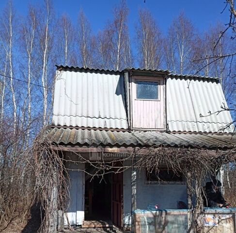 снт Сновицы-4 Новоалександровское муниципальное образование, 127 фото