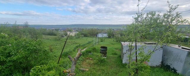 р-н Октябрьский садовое товарищество Земляне, 333 фото