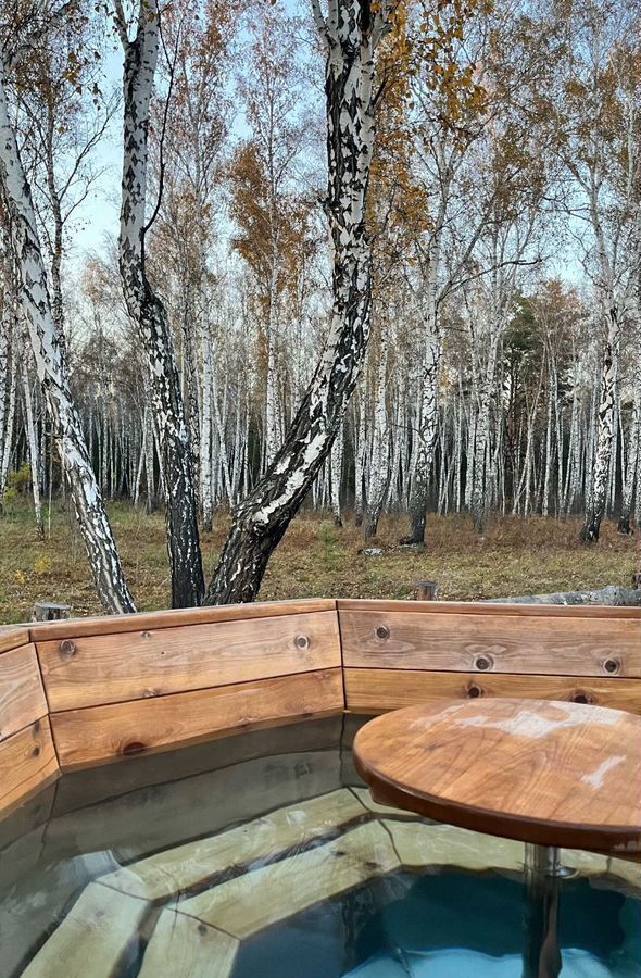 дом г Бердск 50К-13 фото 6