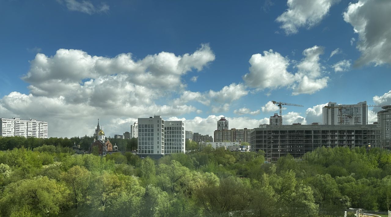 квартира г Москва метро Ломоносовский проспект пр-кт Генерала Дорохова 1к/1 фото 5