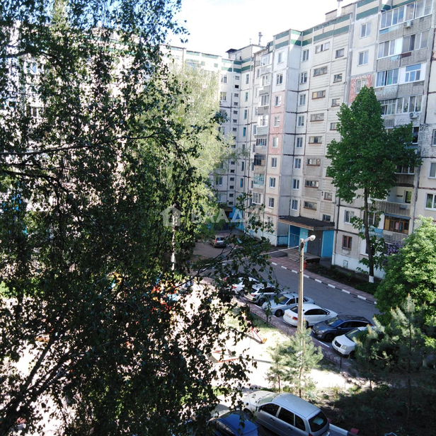 квартира г Белгород Западный ул Губкина 17 фото 14