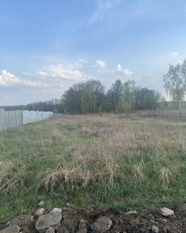 Яснополянское, Первомайский, муниципальное образование фото