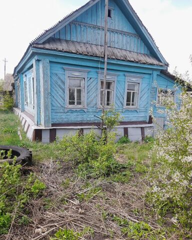 ул Центральная Лунино фото