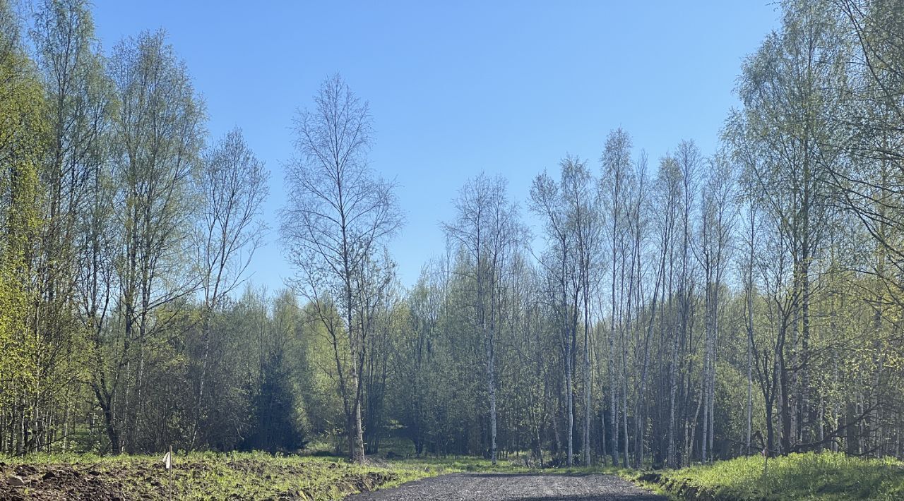 земля городской округ Сергиево-Посадский г Краснозаводск «Холмогоры» фото 9