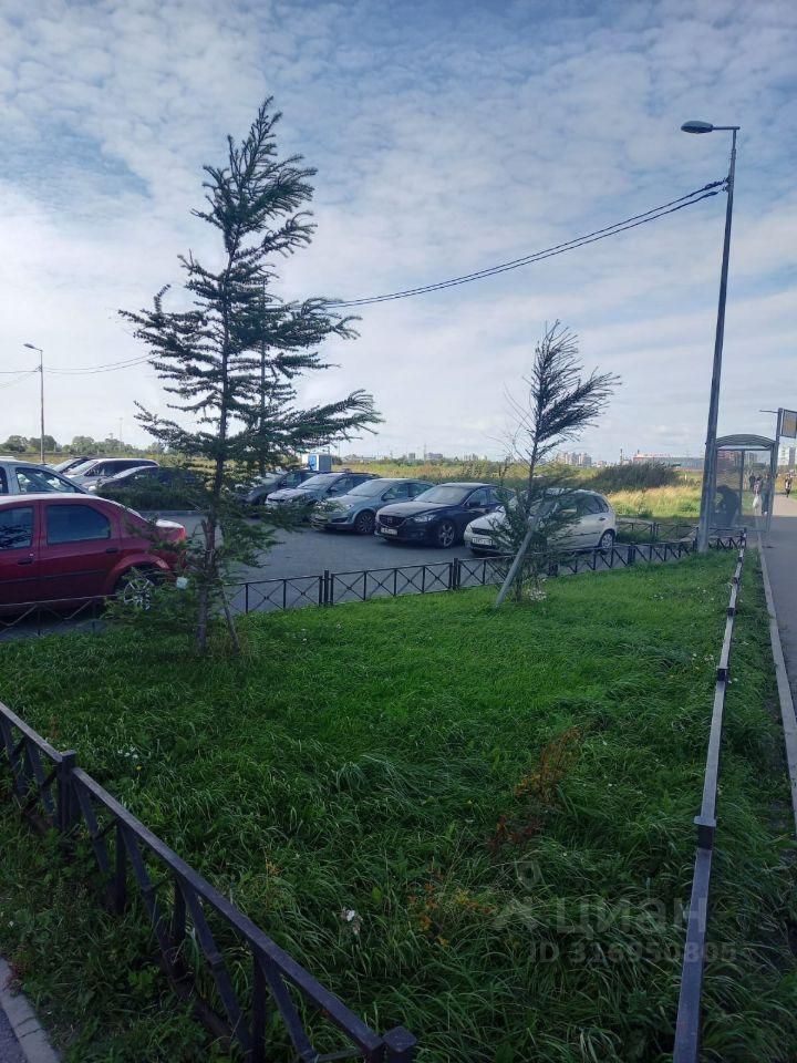 квартира г Санкт-Петербург метро Девяткино дор Муринская 16к/2 фото 3