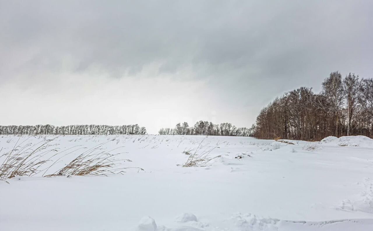 земля г Бердск снт Марьин Лог Бердское шоссе, 7 км фото 4