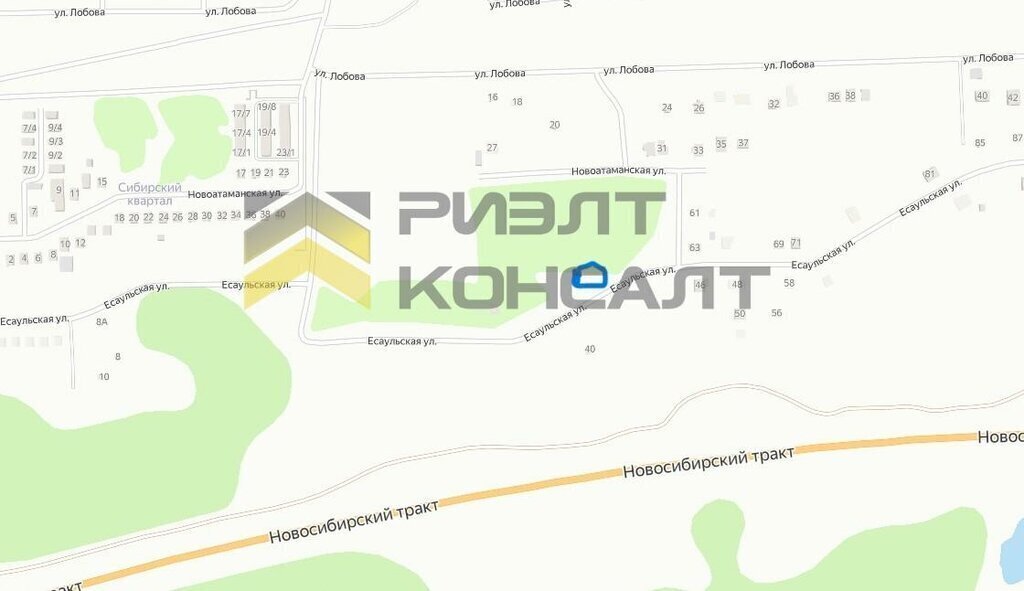 земля г Омск ул Есаульская фото 2