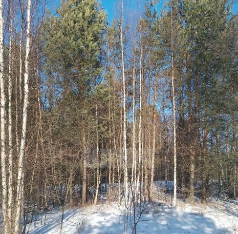 земля ул Дальняя фото
