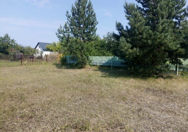 снт Надежда ул 3-я 86 Хреновское сельское поселение, Новая Усмань фото