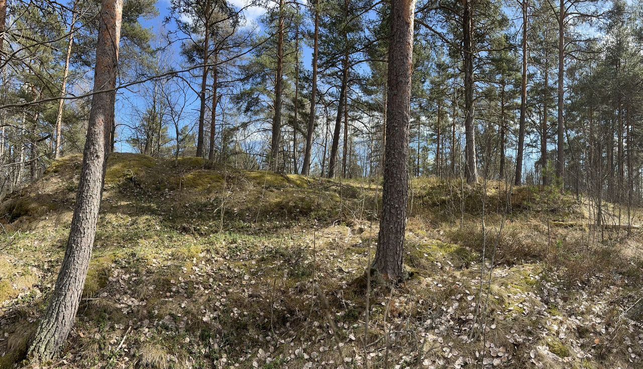 земля г Сортавала Сортавальский муниципальный округ, СОТ Радуга-2 фото 4