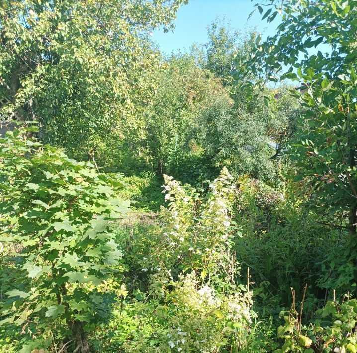 дом г Нижний Новгород Горьковская 35, Дружба СНТ фото 2