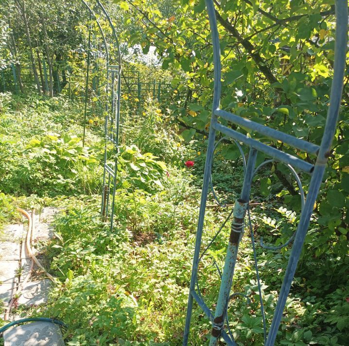 дом г Нижний Новгород Горьковская 35, Дружба СНТ фото 4