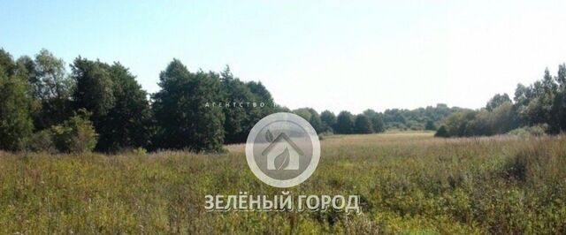 Зеленоградский муниципальный округ фото