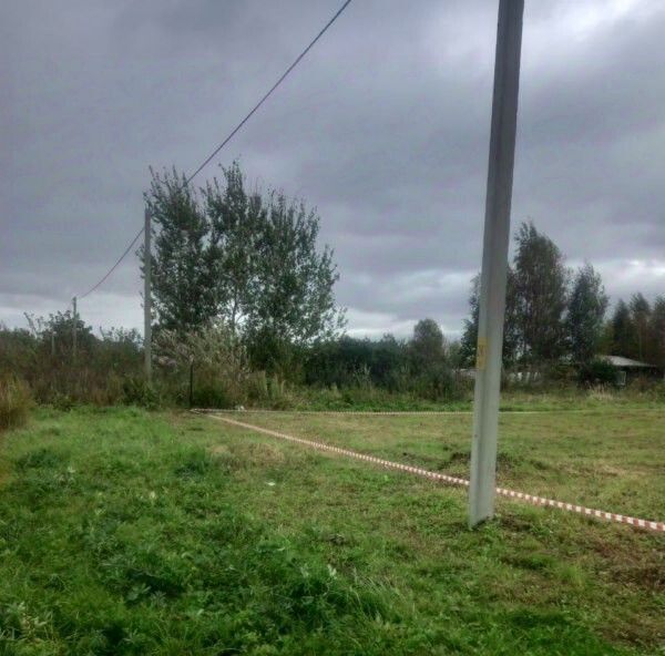 земля р-н Зеленоградский г Зеленоградск снт Сосновка фото 2