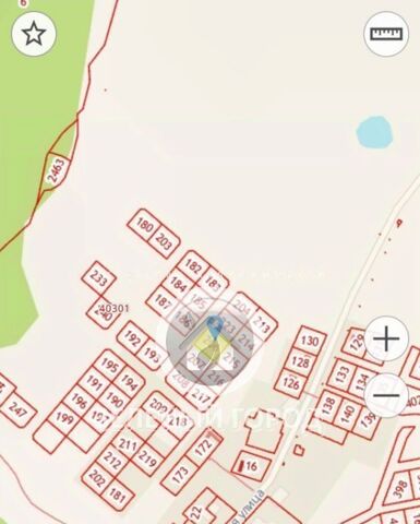 Зеленоградский муниципальный округ фото