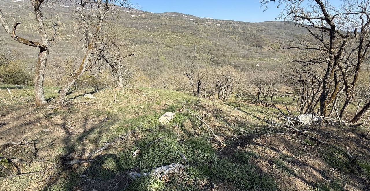 земля г Алушта с Лучистое ул Грушевая фото 7
