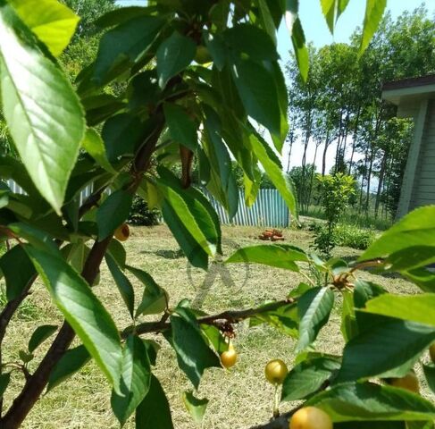 ст-ца Ширванская ул Горького Новополянское с/пос фото