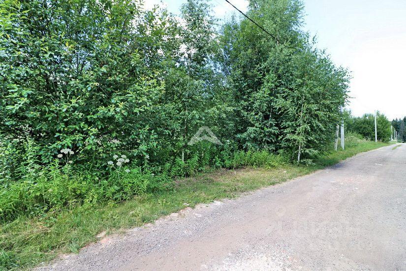 земля г Химки Дачной застройки Кранкино кв-л, Зеленоград — Крюково, ул. Лазурная фото 9