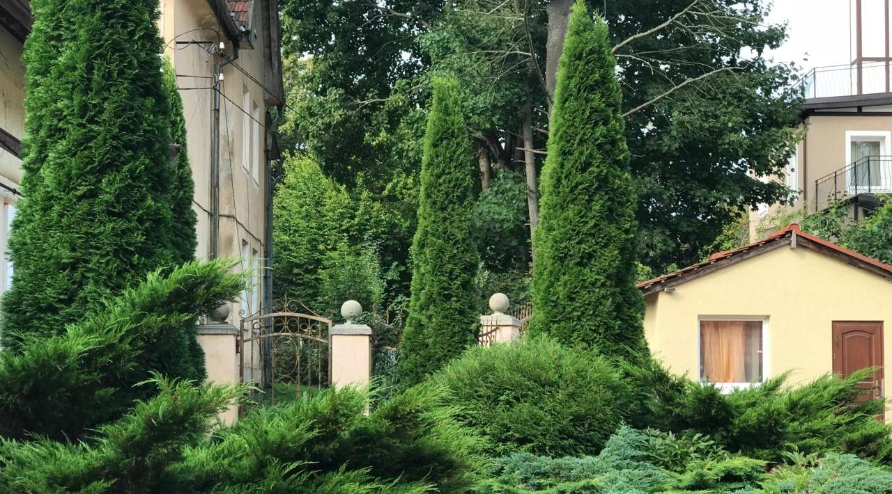 дом р-н Светлогорский г Светлогорск ул Первомайская 4а фото 9