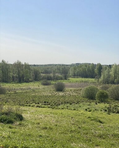 земля ул Ромашковая 39 км, городской округ Солнечногорск, д. Новая, Поварово, Пятницкое шоссе фото