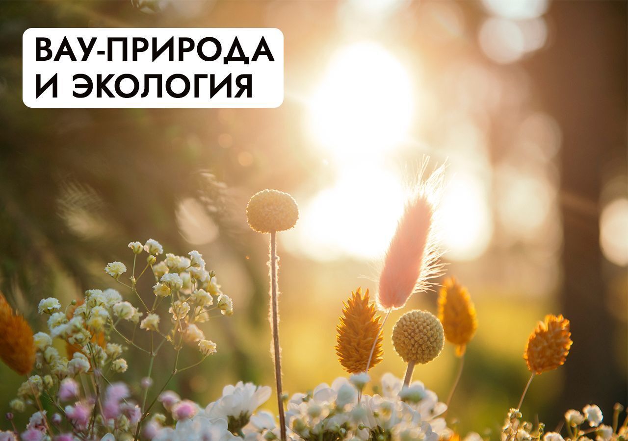земля г Клин 54 км, эко-посёлок Ели эстейт, Новопетровское, Ленинградское шоссе фото 29