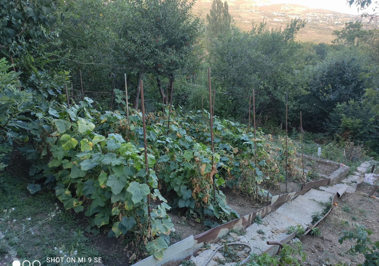 дом г Алушта п Лаванда ул Октябрьская фото 11
