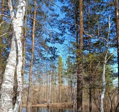 дом снт Сундукуль фото