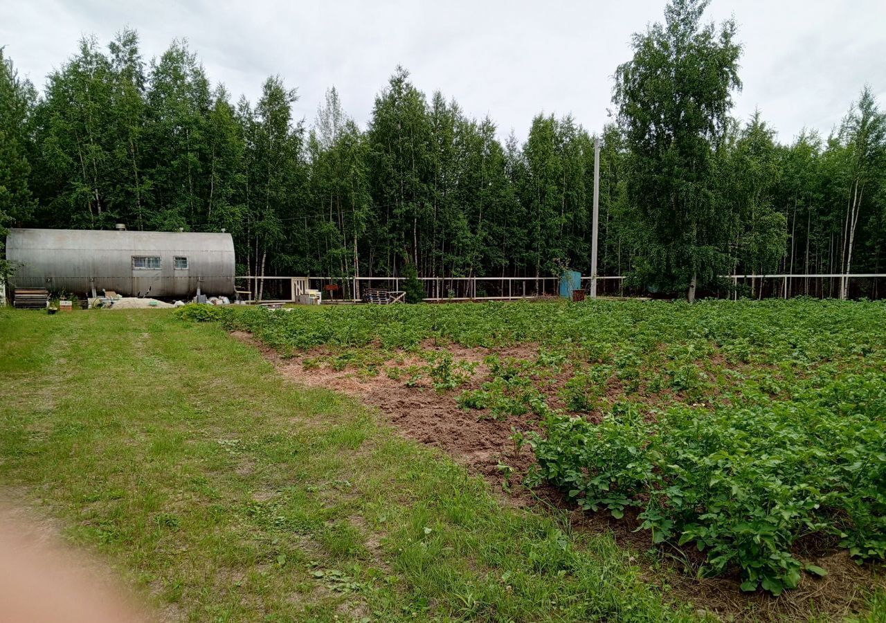 земля г Тюмень снт Трассовик Щучья ул., 18А, Ханты-Мансийский АО, городское поселение Белоярский фото 4