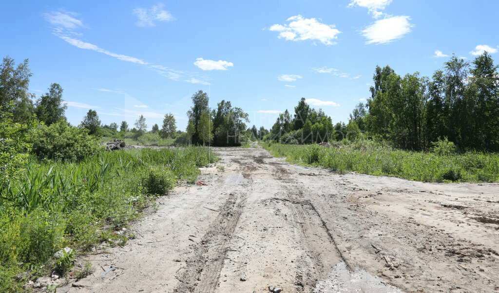 земля г Тюмень снт Поле чудес-2 фото 11