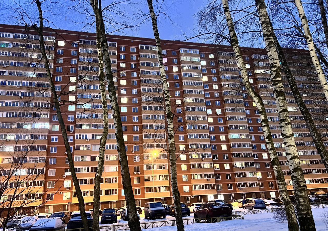 квартира г Балашиха мкр Новое Павлино ул Троицкая 5 Ольгино фото 7