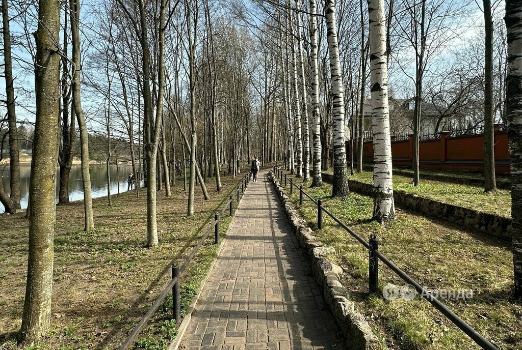 квартира г Санкт-Петербург метро Проспект Просвещения ул Композиторов 11к/1 округ Шувалово-Озерки фото 21