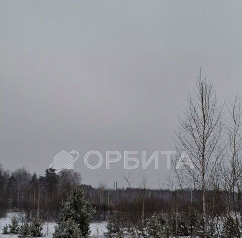 ул Комсомольская фото