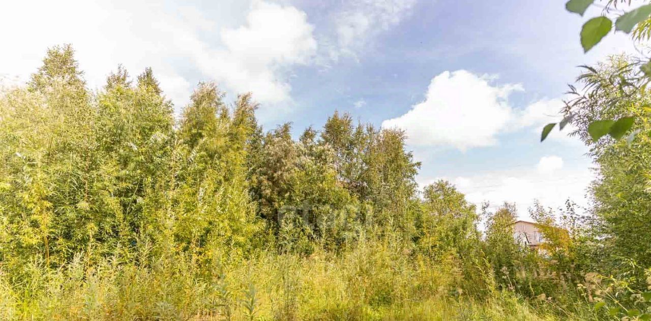 земля г Нижневартовск снт Энергетик-2 ул. 10-я, Сургут фото 3