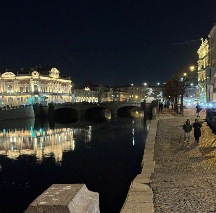квартира г Санкт-Петербург метро Гостиный Двор ул Караванная 3/35 фото 27