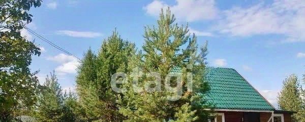р-н Октябрьский ул Беловежская фото