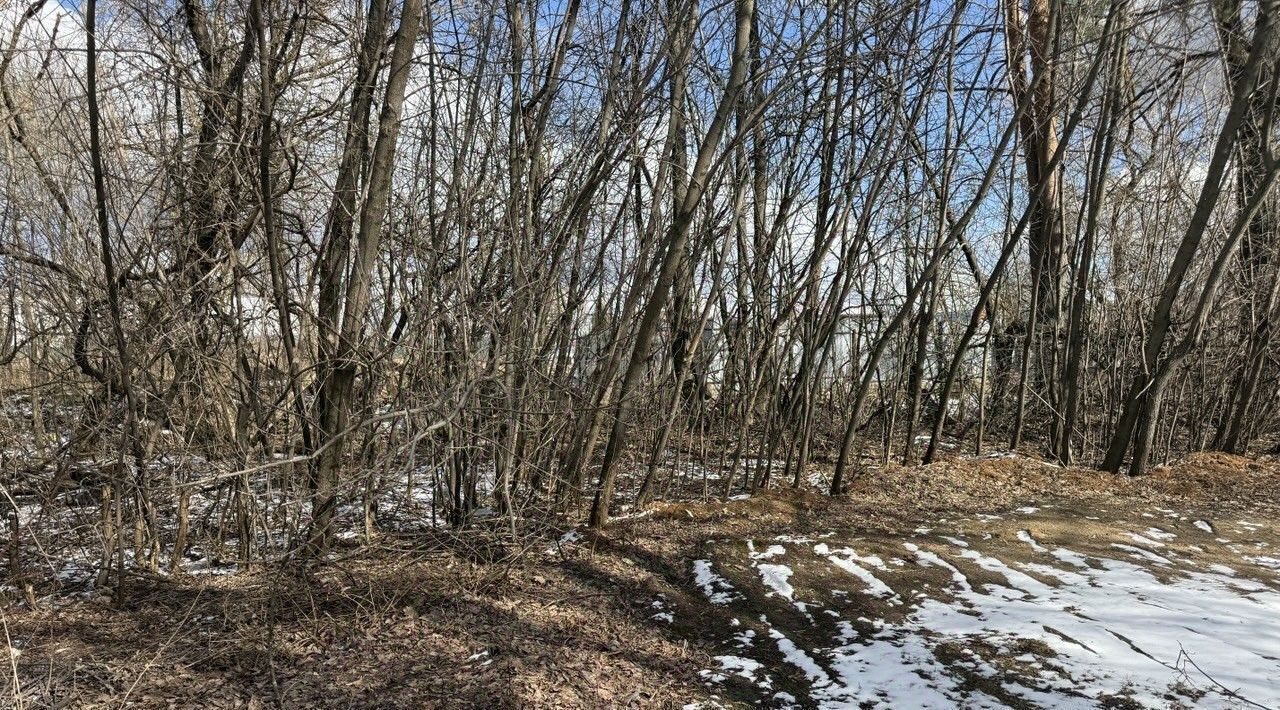 офис г Ивантеевка ул Рабочая Пушкинский городской округ фото 4