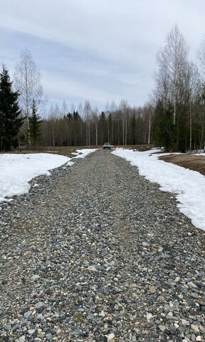 д Бобки загородный пос. Фэмили Парк Бобки-2, Пермь фото