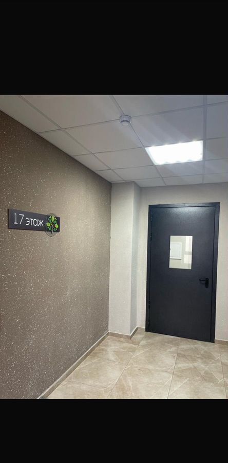 квартира г Воронеж р-н Центральный ул Загоровского 9/3 фото 11
