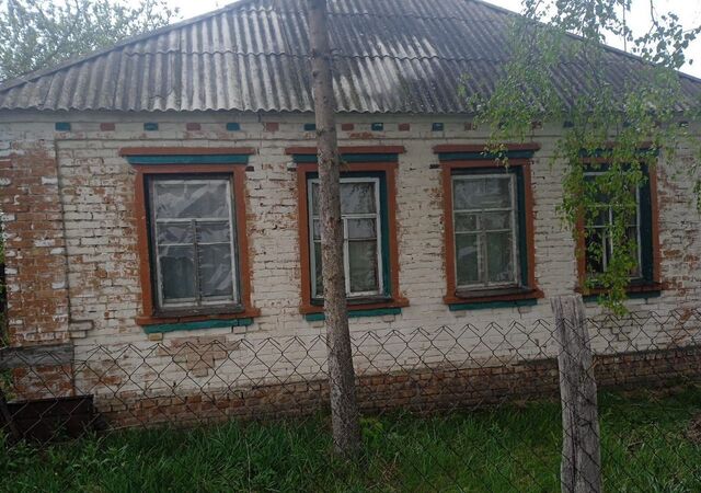 д Ниженка Старолещинский сельсовет, 1-я Нижняя ул., 19, Солнцево фото