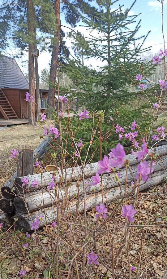 дом г Братск снт тер.Здравница ул Грибная муниципальное образование фото 38