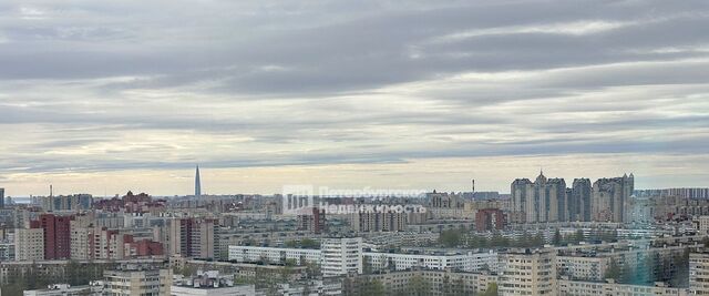 метро Проспект Просвещения ул Кустодиева 7к/1 фото