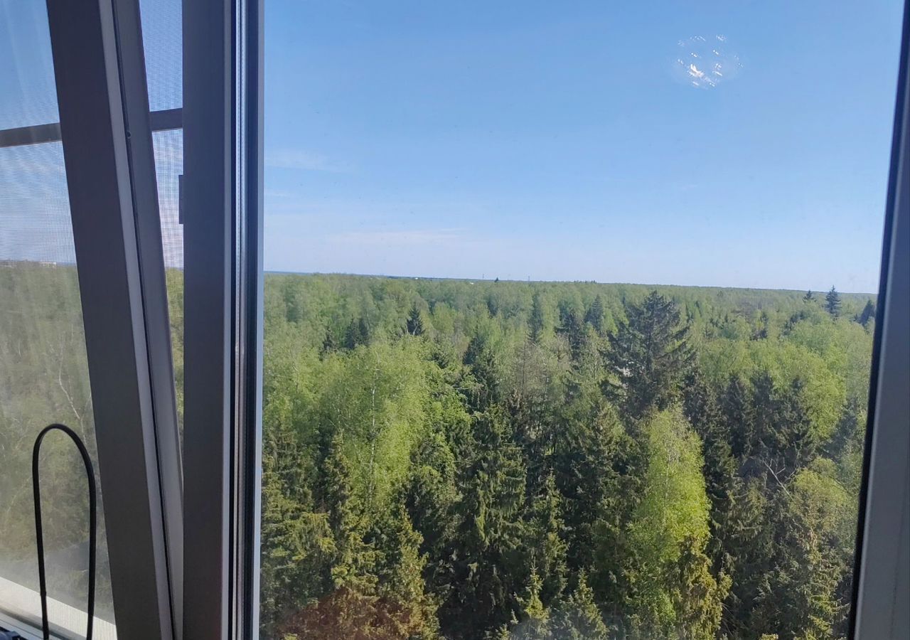 квартира г Обнинск ул Курчатова 80 фото 23