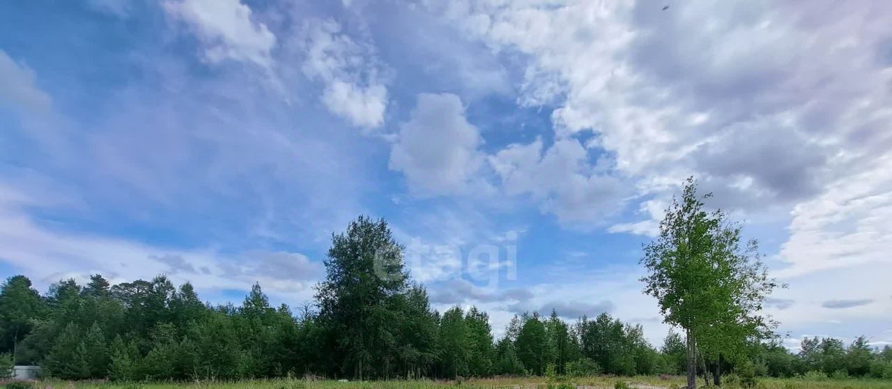 земля г Когалым ул Автомобилистов фото 4