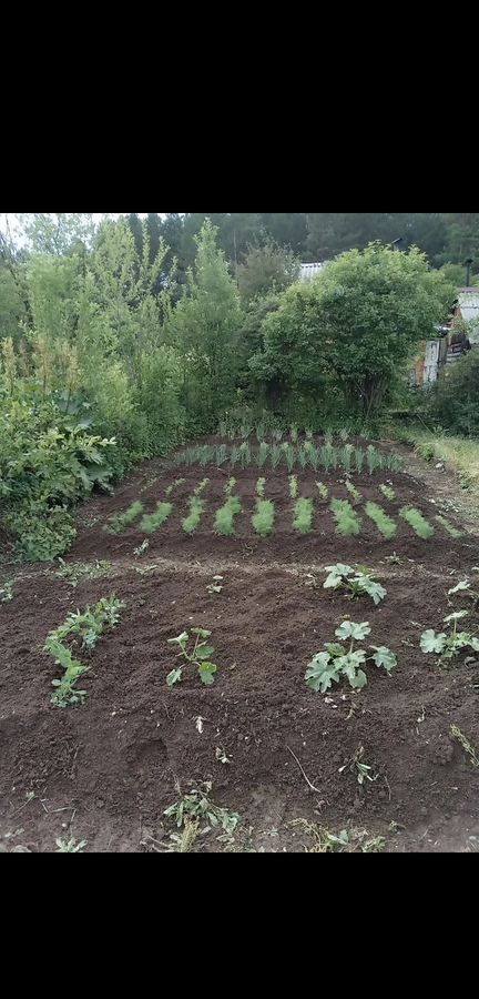 дом г Кушва Кушвинский муниципальный округ, садово-дачное товарищество Зелёный Бор фото 7
