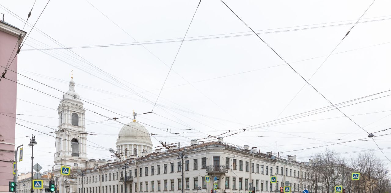 квартира г Санкт-Петербург метро Василеостровская 2-я Васильевского острова линия, 33 фото 31
