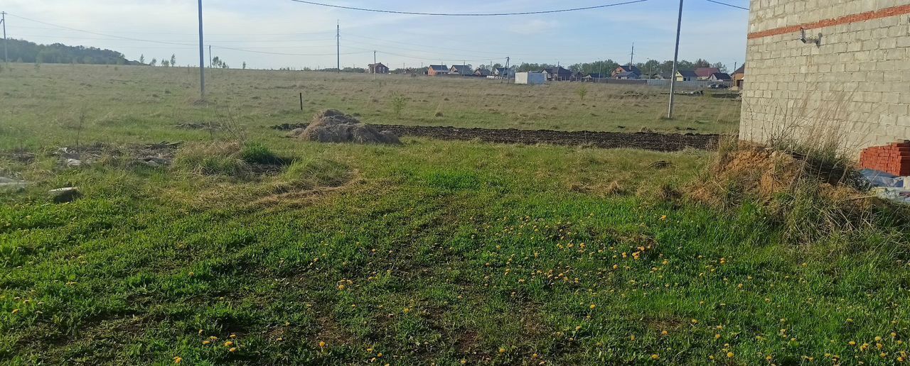 земля г Саранск рп Николаевка ул Мирная Николаевка фото 1