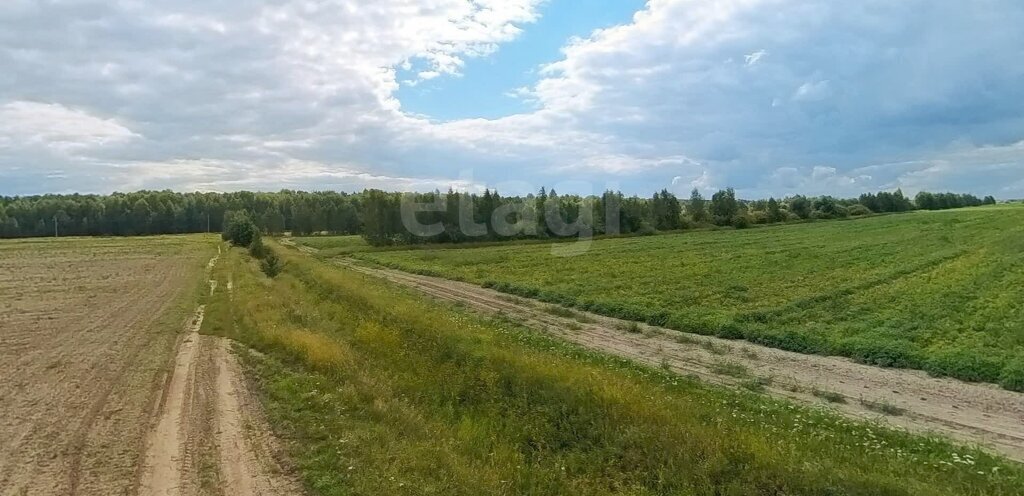 офис г Тюмень ТОО Ембаевское фото 3