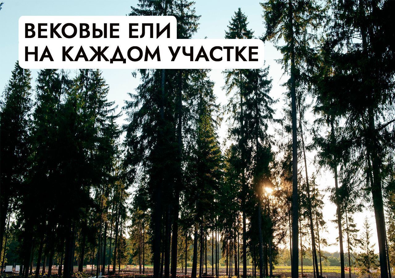 земля г Истра Павловская Слобода, 25 км, коттеджный пос. Гринфилд, Минское шоссе фото 16