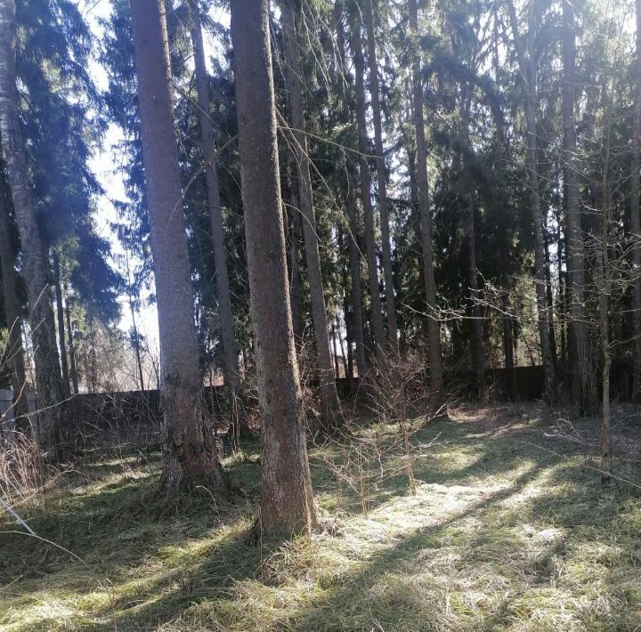 земля г Пушкино снт Союз-1 Апрелевка, 152, Наро-Фоминский городской округ фото 1